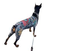 Perro extraño, tatuado de cuatro patas, casas para mascotas, al aire libre, ropa colorida, monos, cosplay para actividades al aire libre, disfraz de fiesta para mascotas