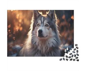 Perro Husky Puzzles Imposible,desafío para Adultos Autumn Outdoor Entretenimiento Creativo 1000 Piezas Obra De Arte De Juego De para Adultos Y Niños Mayores De 12 Años 1000pcs (75x50cm)