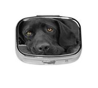 Perro Labrador Labrador Negro Cachorro Perro Lindo, Pastillero cuadrado para bolsillo o monedero, pequeño contenedor de pastillas, organizador de pastillas de viaje