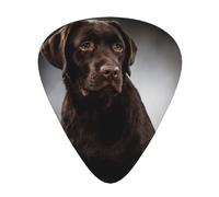Perro Labrador Retriever,12 púas de guitarra, 3 grosores diferentes para guitarra acústica, bajo y ukelele