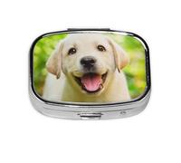 Perro Labrador Retriever Cachorro, Pastillero cuadrado para bolsillo o monedero, pequeño contenedor de pastillas, organizador de pastillas de viaje