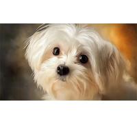 Perro Lindo Puzzle Imposible,desafío for Adults Juego edugatoivo 1000 Piezas Obra de Arte de Juego de para Adultos y Niños Mayores de 12 años 38x52cm/1000pcs