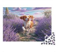 Perro Mascota Rompecabezas de Papel Grueso de Brittany Spaniel Corriendo por Campo de Lavanda, para Personas Mayores, Relajante Regalo de Amigo Invisible 52x38cm/1000 Piezas