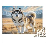 Perro Mascota Rompecabezas DIY de Papel Premium de Husky de pie en Llano Dorado, para niños +12, Divertido Regalo de calcetín 52x38cm/1000 Piezas