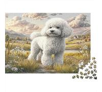 Perro Mascota Rompecabezas Premium de cartón de Caniche Blanco de pie en Campo de Hierba Rural, Entretenimiento contra el aburrimiento, decoración del hogar 70x50cm/1000 Piezas