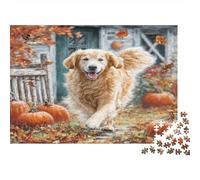 Perro Mascota Rompecabezas Premium de cartón de Golden Retriever en Campo de Calabazas, Entretenimiento contra el aburrimiento, decoración del hogar 38x26cm/1000 Piezas