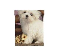 Perro Mono, Squeeze Top Wallet Bolsa de Almacenamiento para Mujer Monedero pequeño Bolsa de Cambio