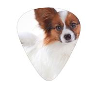 Perro Papillon esponjoso,12 púas de guitarra, 3 grosores diferentes para guitarra acústica, bajo y ukelele