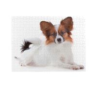Perro Papillon Esponjoso, Rompecabezas de 500 Piezas para Adultos - Rompecabezas de Madera para Adultos Mayores