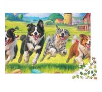 Perro Pastor Jigsaw Campo Rural Iluminado por el Sol Puzzle Mil Piezas Papel para Entusiastas - Resistente A Doblar Ocio Decoración 52x38cm/1000pcs