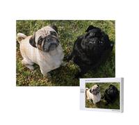 Perro Pug Blanco y Negro,Rompecabezas de Madera de 1000 Piezas para Adultos y Adolescentes.