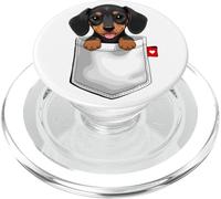 Perro Salchicha en el Bolsillo Mirando Lindo Cachorro Perro PopSockets PopGrip para MagSafe