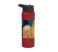 Perro Spitz alemán Van Gogh Noche estrellada Stainless Steel Insulated Water Bottle