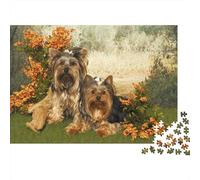 Perro Yorkies Rompecabezas Retratos Mascotas adorables Cartón Reciclado 1000 Piezas, Adultos/niños 12+, Descompresión, Regalo Personalizado Cumpleaños 70x50cm/1000pcs
