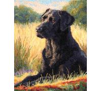 Perros Animales Alfombra Anudada Para Hacer Retrato De Un Labrador Retriever Kits Para Hacer Alfombras Kit De Cojín Con Gancho De Pestillo，Manualidades Diy Para Decoración Del Hogar Y F 33x45in