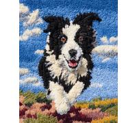 Perros Animales Kit De Crochet Border Collie De Dibujos Animados Kit Para Alfombras Con Gancho De Pestillo，Tapiz De Lona Con Patrones Preimpresos Grandes，Manualidades De Bordado Para Ad 31x63in
