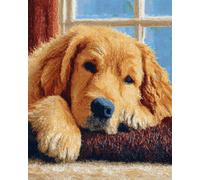 Perros Animales Kit De Crochet Golden Retriever Junto A La Ventana Kits De Alfombras Con Aguja De Pestillo Para Adultos Y Principiantes，Manualidades Diy，Felpudos，Regalos，Decoración Del 35x46in