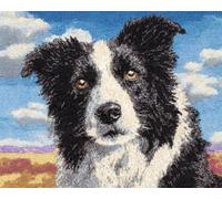 Perros Animales Kit De Gancho De Pestillo Border Collie Blanco Y Negro Kits De Manualidades Con Aguja De Pestillo，Kit De Crochet Para Alfombras Para Adultos Y Principiantes，Set Para Hac 35x46in