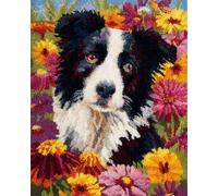 Perros Animales Latch Hook Rug Kit Border Collie De Dibujos Animados Kit De Costura De Crochet，Kits Clásico De Alfombras Con Aguja De Pestillo Para Adultos，Set De Manualidades 3D Para D 23x16in