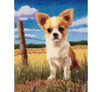 Perros Animales Latch Hook Rug Kit Chihuahuas Y Paisajes Manualidades Para Hacer Alfombras Diy Para Adultos Con Lienzo Impreso A Color，Juego De Bordado A Crochet，Decoración Del Hogar. 33x45in