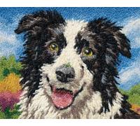 Perros Animales Latch Hook Rug Kit Retrato De Un Border Collie Kits De Ganchillo Para Adultos，Kits Para Hacer Alfombras De Lona Preimpresas Para Principiantes，Manualidades Para Decorar 35x46in