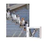 Perros Border Collie Shetland SheepDogs Alaskan 300 piezas Rompecabezas de madera para diversión familiar para adultos