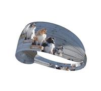 Perros Border Collie Shetland Sheepdogs Alaskan,Banda Deportiva para el Sudor Unisex, Multiusos, elástica para el Pelo
