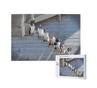 Perros Border Collie Shetland Sheepdogs Alaskan,Rompecabezas de Madera de 1000 Piezas para Adultos y Adolescentes.