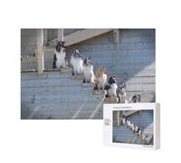 Perros Border Collie Shetland Sheepdogs Alaskan,Rompecabezas de Madera de 300 Piezas, Juego Familiar, Rompecabezas para Adultos, Adolescentes, decoración del hogar