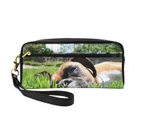 Perros Boxer Hierba Verde Mascotas Perros De Césped, Bolsa de Maquillaje Bolsa de cosméticos Bolsa de Aseo de Viaje portátil Estuche de Cuero para Mujeres y niñas