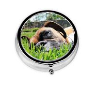 Perros Boxer Hierba Verde Mascotas Perros De Césped, Pastillero, Pastillero redondo Pequeño contenedor de pastillas Organizador de pastillas de viaje