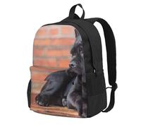 Perros Cane Corso grandes y negros, mascotas,Mochila con bolsillos, mochila informal para el día a día, resistente al agua, ideal para la escuela, viajes