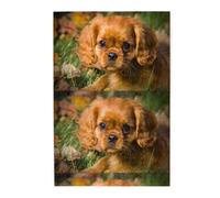 Perros Cavalier King Charles Spaniel de Pelo Rizado marrón, Rompecabezas de 1000 Piezas, Rompecabezas de Madera para Toda la Familia, decoración de Pared para Adultos y Adolescentes.