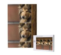 Perros Collie Lassie de Pelo Largo, Perros Grandes y Peludos, Mascotas, Rompecabezas de 1000 Piezas para Adultos, Juego de Rompecabezas desafiante, Rompecabezas