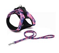 Perros con Herramientas, Arnés for Perros pequeños y medianos, Transpirable, for Cachorros Gatos, con Correa, Accesorios for Mascotas DS(D,XS)