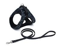 Perros con Herramientas, Arnés for Perros pequeños y medianos, Transpirable, for Cachorros Gatos, con Correa, Accesorios for Mascotas DS(A,S)