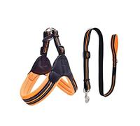 Perros con Herramientas, Arnés y Correa Reflectantes for Mascotas, Color Naranja, arneses for Perros pequeños medianos, Accesorios for, Talla L(XS)