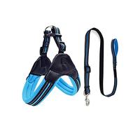 Perros con Herramientas, Conjunto de Correa y arnés Reflectante Azul for Mascotas, arneses for Perros pequeños medianos, Accesorios for, Talla XS(L)