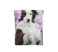 Perros de Primavera Border Collie marrón con Flores, Squeeze Top Wallet Bolsa de Almacenamiento para Mujer Monedero pequeño Bolsa de Cambio