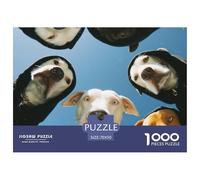 Perros Divertidos Foto de Grupo Puzzle de 1000 Piezas Papel para Adultos Escena Animal Bonita Juego de Puzzle 1000 Piezas Relajación Regalo 70x50cm/1000pcs
