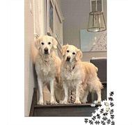 Perros Golden Retriever 1000 Piezas Cartón Extra Grueso Rompecabezas Clásicos Entusiastas De Jigsaw Senior Desafío Juego Educativo 52x38cm/1000pcs