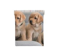 Perros Golden Retriever Cachorros Perros Labrador, Squeeze Top Wallet Bolsa de Almacenamiento para Mujer Monedero pequeño Bolsa de Cambio