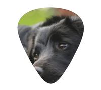 Perros Labrador Negro Manzanilla Black Retriever,12 púas de guitarra, 3 grosores diferentes para guitarra acústica, bajo y ukelele