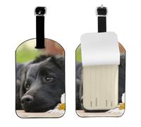 Perros Labrador Negro Manzanilla Black Retriever,Etiquetas de equipaje de cuero sintético con nombre, etiquetas de viaje duraderas, 2 unidades