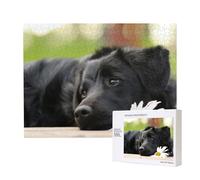 Perros Labrador Negro Manzanilla Black Retriever,Rompecabezas de Madera de 500 Piezas, Juego Familiar, Rompecabezas para Adultos, Adolescentes, decoración del hogar