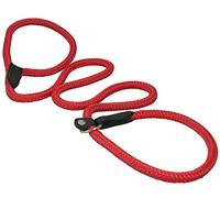 Perros mi amor nailon cuerda Slip perro plomo Collar y correa británico estilo 4 ft largo