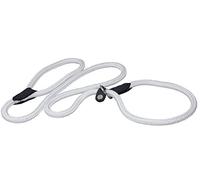 Perros mi amor nailon cuerda Slip perro plomo Collar y correa británico estilo 4 ft largo