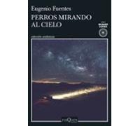 Perros Mirando Al Cielo