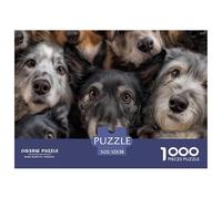 Perros Primer Plano Puzzle de 1000 Piezas Papel para Adultos Caras de Varios Perros Juego de Puzzle 1000 Piezas Relajación Concentración Decoración Familiar Regalo 52x38cm/1000pcs