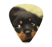 Perros Rottweiler Perros Lindos Cachorros Mascotas Pequeñas,12 púas de guitarra, 3 grosores diferentes para guitarra acústica, bajo y ukelele